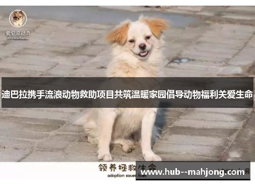 迪巴拉携手流浪动物救助项目共筑温暖家园倡导动物福利关爱生命