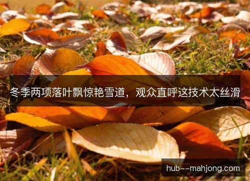 冬季两项落叶飘惊艳雪道，观众直呼这技术太丝滑